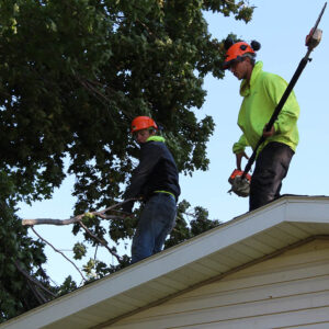 Men on top of a roof moving tree limbs