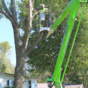 man in a lift cutting down tree limbs