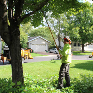 man cutting tree limbs with long cutters
